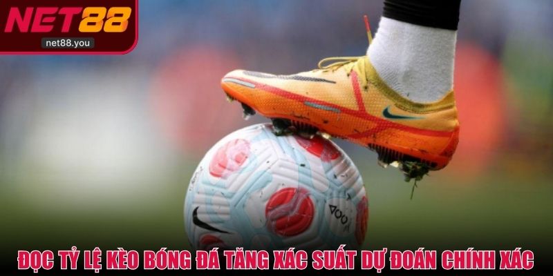 Biết đọc tỷ lệ kèo bóng đá tăng xác suất dự đoán chính xác