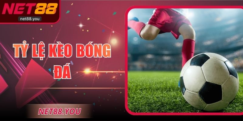 Tỷ Lệ Kèo Bóng Đá - Hiểu Đúng Và Dự Đoán Hiệu Quả Nhất